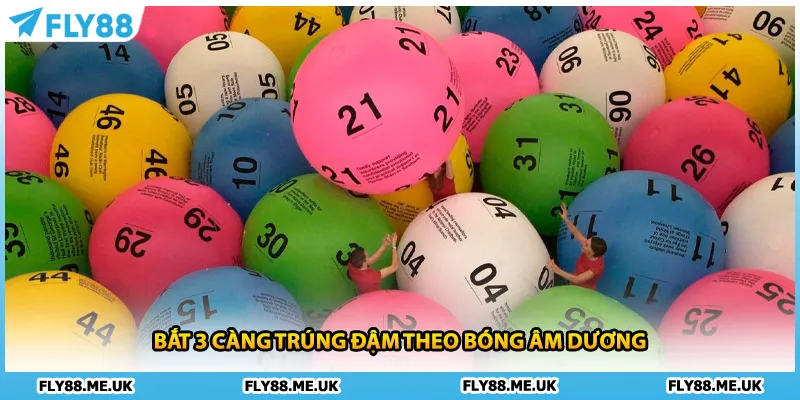 Bắt 3 càng trúng đậm theo bóng âm dương