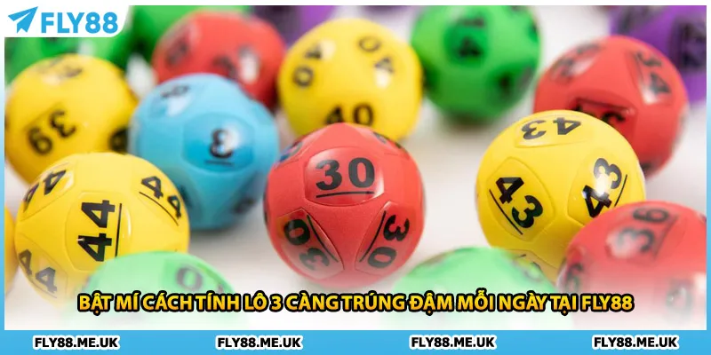 Bật Mí Cách Tính Lô 3 Càng Trúng Đậm Mỗi Ngày Tại FLY88