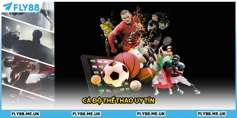 Cá độ thể thao uy tín