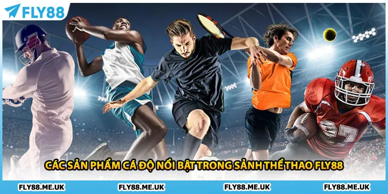 Các sản phẩm cá độ nổi bật trong sảnh thể thao FLY88