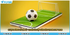 Cược Bóng Cỏ Là Gì - Chiến Thuật Săn Kèo Thơm Hay 2026