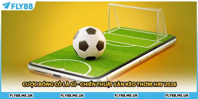 Cược Bóng Cỏ Là Gì - Chiến Thuật Săn Kèo Thơm Hay 2026