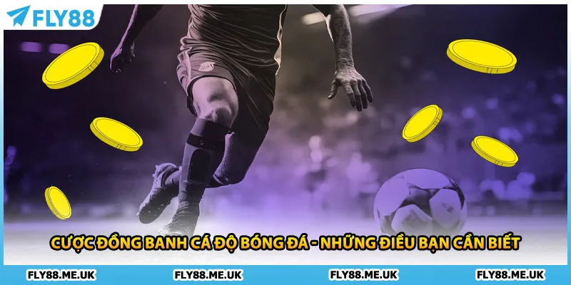 Cược Đồng Banh Cá Độ Bóng Đá - Những Điều Bạn Cần Biết