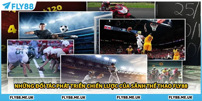 Những đối tác phát triển chiến lược của sảnh thể thao FLY88