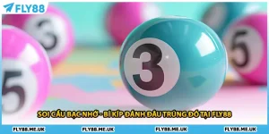 Soi Cầu Bạc Nhớ - Bí Kíp Đánh Đâu Trúng Đó Tại Fly88