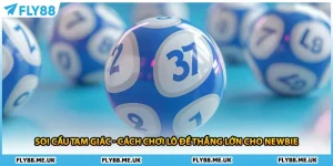 Soi Cầu Tam Giác - Cách Chơi Lô Đề Thắng Lớn Cho Newbie