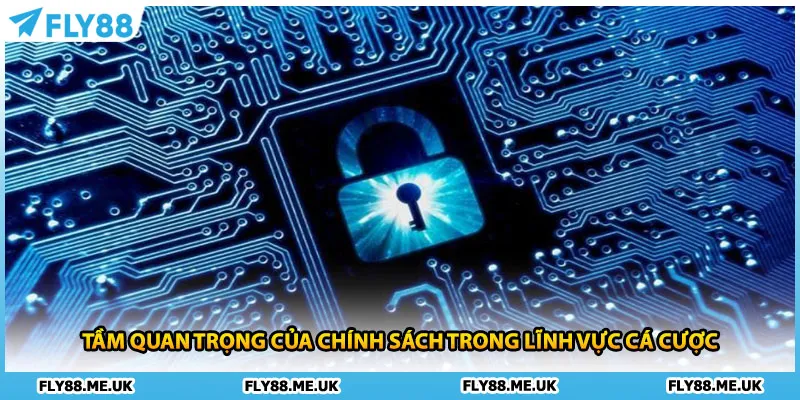 Tầm quan trọng của chính sách trong lĩnh vực cá cược